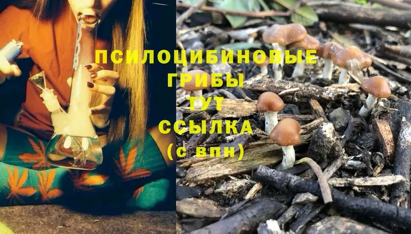 Галлюциногенные грибы Magic Shrooms Карачев